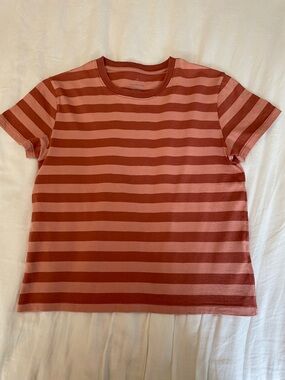 Everlane Striped Short-Sleeve Tee in Rust and Blush